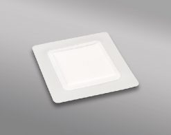 0000101905