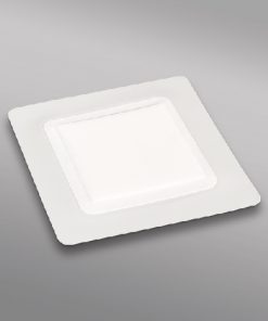 0000101905