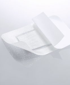 0000101911